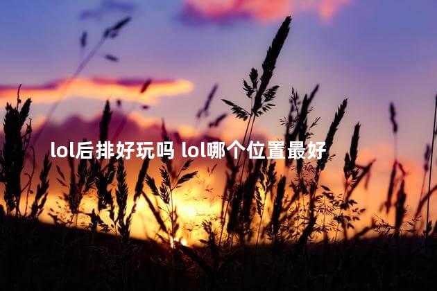 lol后排好玩吗 lol哪个位置最好玩